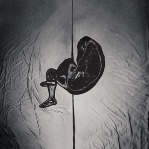 黑哥大鸡巴视频
