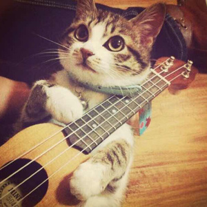 黑哥大鸡巴视频
