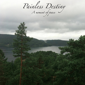 黑哥大鸡巴视频
